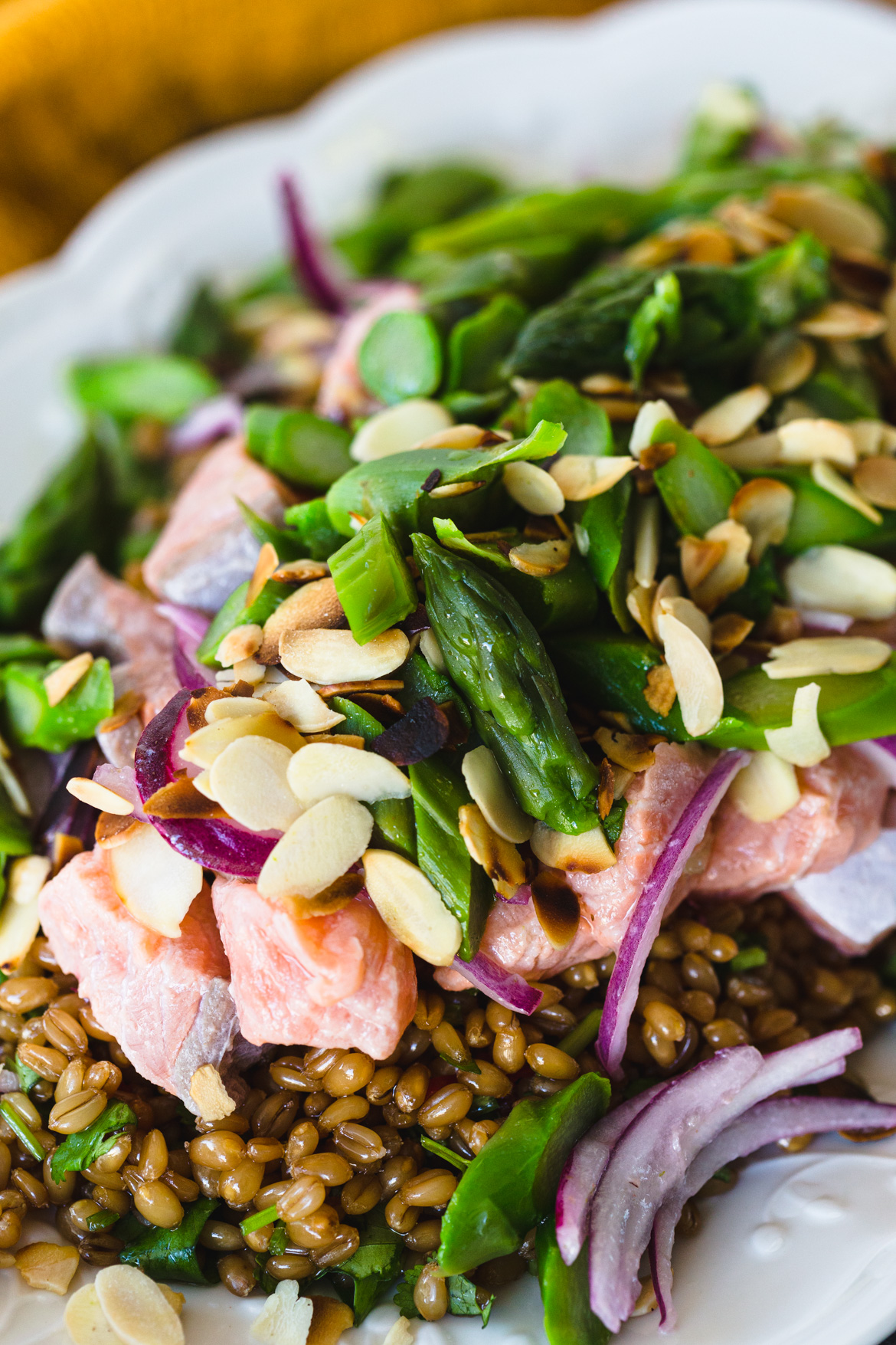 Salada de Trigo em grãos com ceviche de salmão e aspargos 2