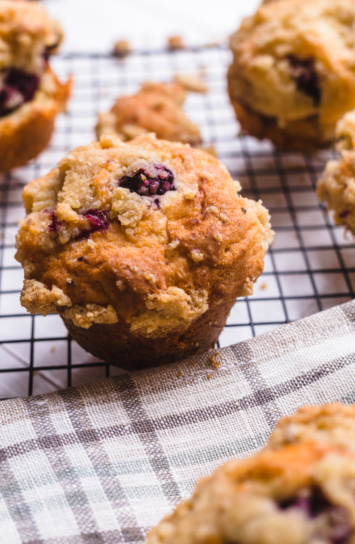 Muffin de amora: Jornal do Campo ensina como fazer bolinho delicioso, Goiás